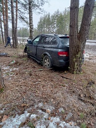 В Путятинском районе женщина-водитель вылетела с дороги и «припарковалась» между двумя деревьями 