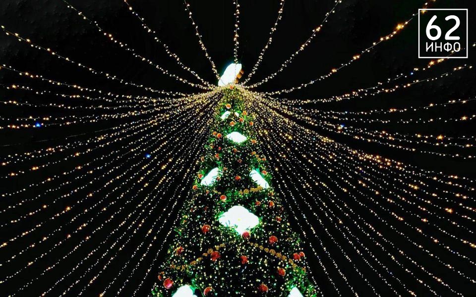 Рязанская полиция поймала виновных в порче ёлки подростков - 62ИНФО