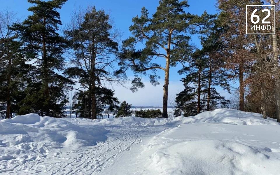 Солотча оставалась без света 19 января из-за падения дерева - 62ИНФО