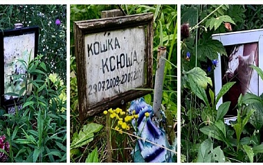 Кладбища домашних животных: где в Рязани хоронят кошек и собак