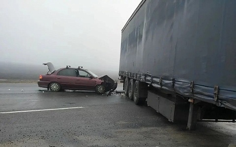 В ДТП в Скопинском районе пострадали два человека