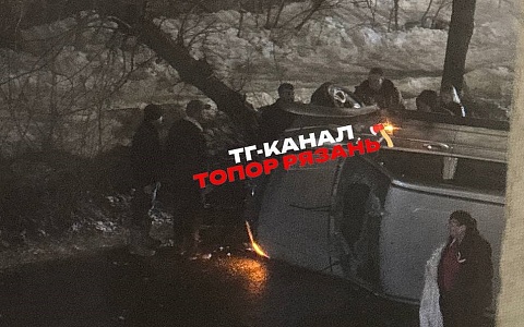 В Горроще ночью машина сбила дерево и перевернулась