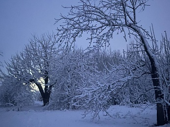 Снежное полнолуние марта сфотографировали в рязанской глубинке - 62ИНФО Снежное полнолуние марта сфотографировали в рязанской глубинке