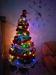 Рязанцы показали фотографии домашних ёлок