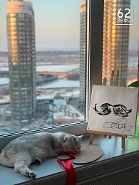 Рязанка во время шоу «Поле чудес» устроила Якубовичу арт-вечеринку