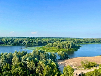 Управляющий директор «Зелёного сада» рассказал о безопасности воды в Борковском затоне