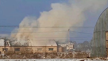 На Старожиловском конезаводе случился пожар в конюшне