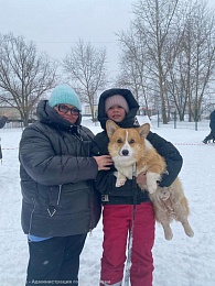 В Рязани прошли выступления домашних питомцев 