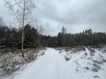 В рязанском лесу сфотографировали заброшки и лестницу в никуда - 62ИНФО В рязанском лесу сфотографировали заброшки и лестницу в никуда