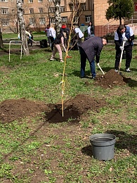 В Рязани на территории ОКБ появилась Аллея терапевтов