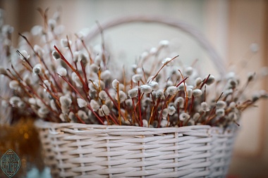 Вербное воскресенье 2025: фоторепортаж из Вознесенского храма