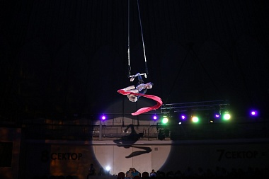 В Рязани пройдет "Елка в цирке" с тиграми и львами