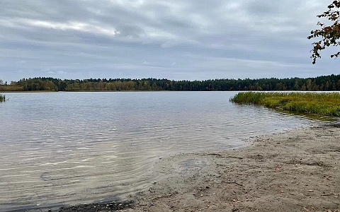 Вода в Оке под Рязанью остыла до +16°С