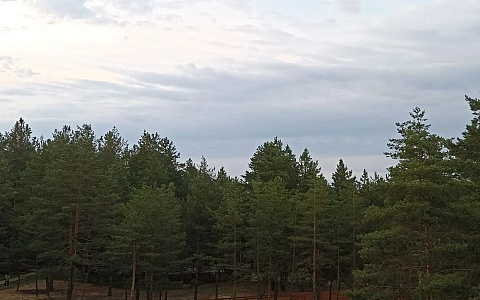 65 поселков в Мещере могут быть газифицированы