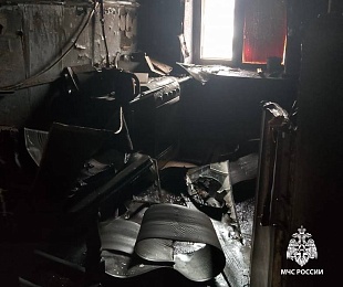 Пожарные потушили сразу два пожара за сутки в Рязанской области