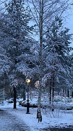 Рязанцы делятся фото первого снегопада в городе и в лесу