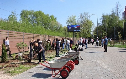 В Гвардейском сквере Рязани состоялась акция по озеленению