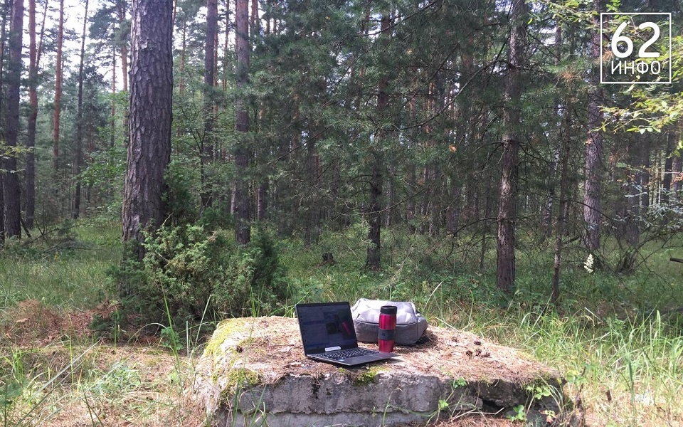 В Рязанской области "разогнали" мобильный интернет в 14 населенных пунктах и в туристических местах - 62ИНФО