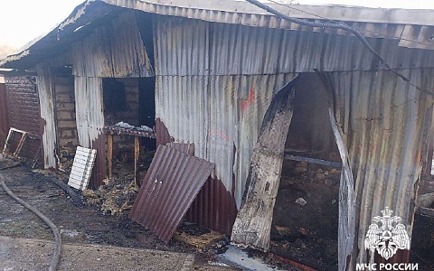 Шесть человек тушили хозпостройку в Пронске