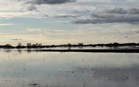 Касимов держится: в Рязанской области половодье развивается лишь в одном месте