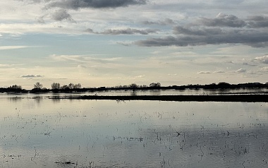 Уходящая натура: фото разлива Оки