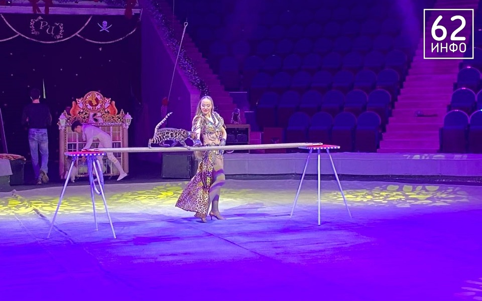 Рязанский цирк представил новогоднее шоу "Тайна пирата" - 62ИНФО