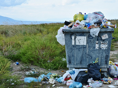 Любимов поручил сдержать рост тарифов на вывоз мусора