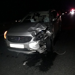 В Рязанской области трое детей госпитализированы после ДТП с Volvo и мотоциклом