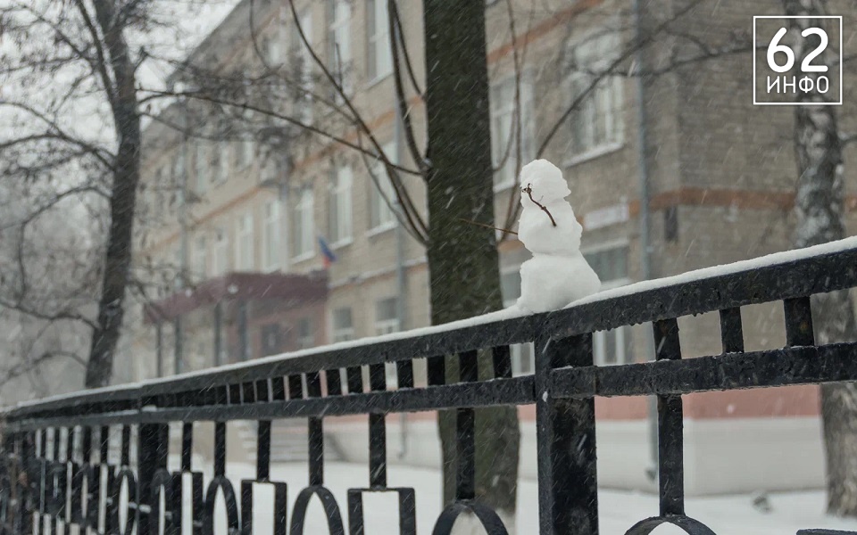 МЧС: в Рязанской области утром 10 марта риск на дорогах создадут осадки и лед - 62ИНФО