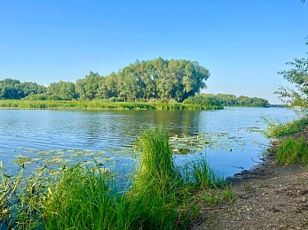 Плавающие фонтаны, сап-турниры и пляж: взгляд в будущее Борковского затона 