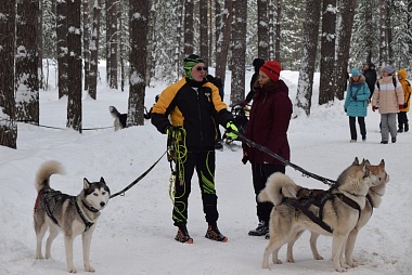 Гонки на собачьих упряжках прошли под Рязанью на пятикилометровой трассе