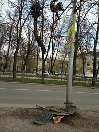 В Рязани на улице Есенина после ДТП кусок дерева остался висеть на проводах