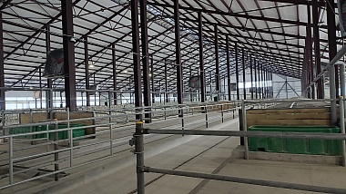 В Касимовском районе завершился первый этап строительства фермы на 2000 коров 