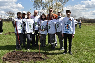 Любимов поучаствовал в высадке берёз в Михайловском районе