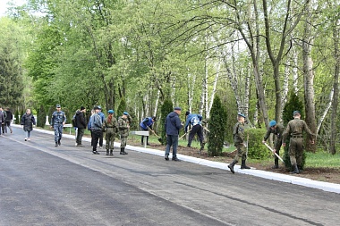 В Рязани высадили новые туи в Мемориальном парке