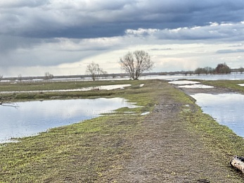 Уходящая натура: фото разлива Оки