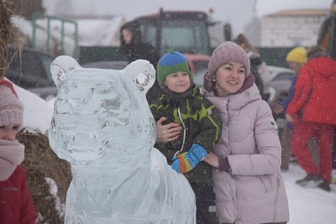 В рязанском селе Орехово в старый Новый год открыли фестиваль ледовых скульптур
