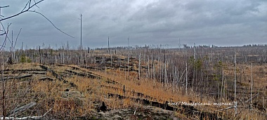Рязанские предзимние горельники Мещеры напомнили прерии