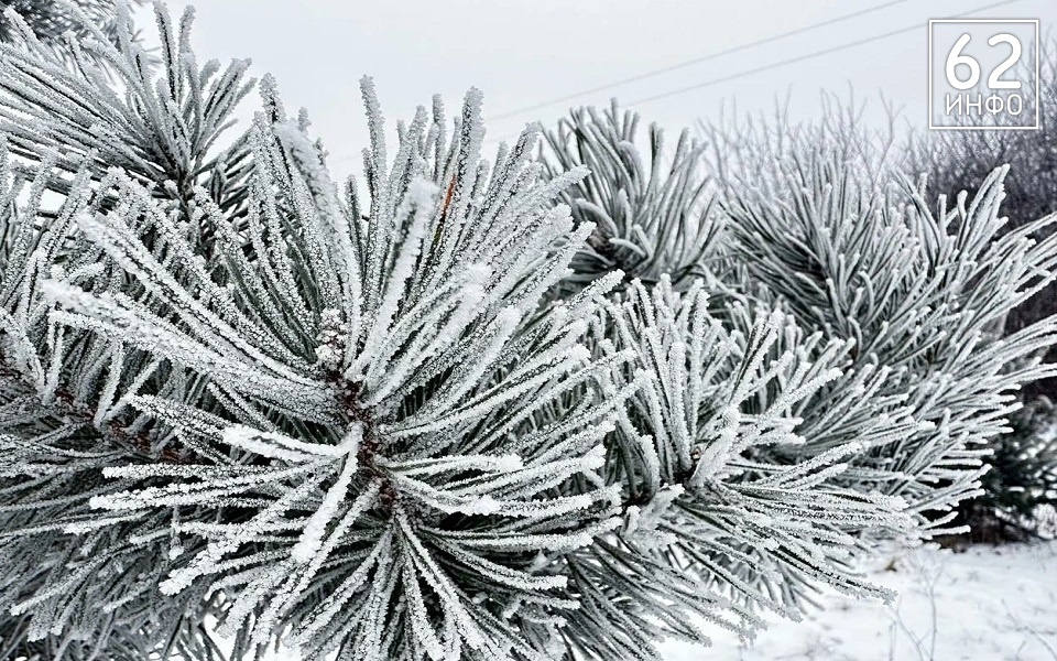 Мороз еще окрепнет: МЧС выпустило предупреждение для рязанцев на 3 февраля - 62ИНФО