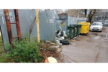 Инспекторы выявили нарушения в содержании рязанских дворов