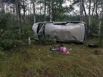 Шесть человек пострадали при опрокидывании минивэна в Путятинском районе