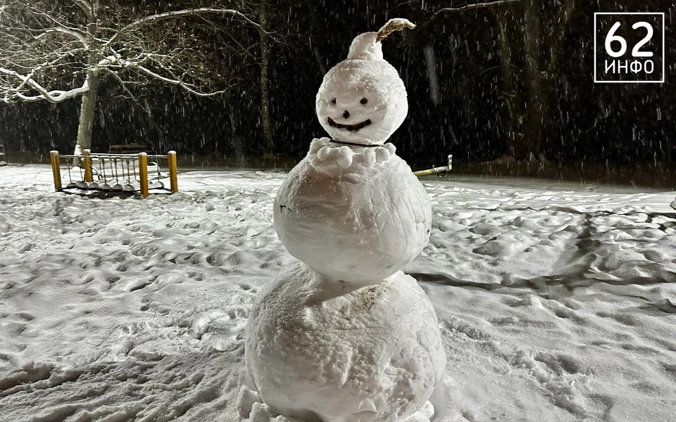 В ночь на 30 ноября рязанцев ждет снегопад - 62ИНФО