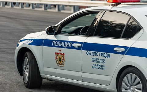 Рязанская Госавтоинспекция напомнила родителям о безопасности детей