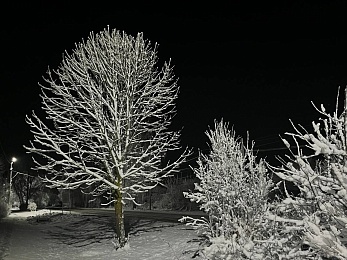 Снежное полнолуние марта сфотографировали в рязанской глубинке - 62ИНФО Снежное полнолуние марта сфотографировали в рязанской глубинке