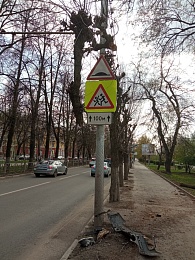 В Рязани на улице Есенина после ДТП кусок дерева остался висеть на проводах