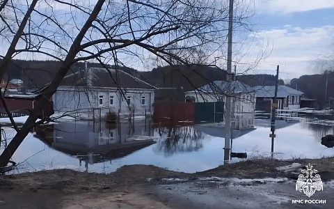 Затопленные участки, уровень воды в реках: паводок в Рязанской области 5 апреля