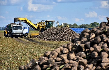 Рязанские аграрии приблизились к рекорду по сбору зерна