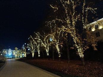 Локацию в центре Рязани украсили к Новому году