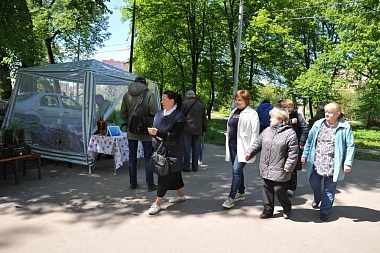 Мэр Рязани Елена Сорокина поздравила активистов ТОС с профессиональным праздником