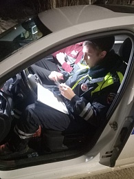 За выходные в Рязанской области остановили 29 пьяных водителей 